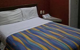 El Pino - Hotel Economico Guadalajara